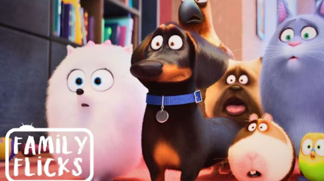 The Funniest Pet Antics - The Secret Life of Pets Movies - Family Flicks video 720p english (origina